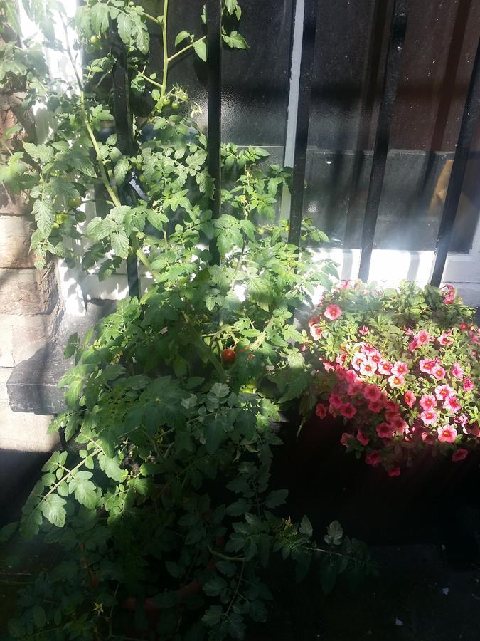 Parkway Guesthouse Dublin Luaran gambar